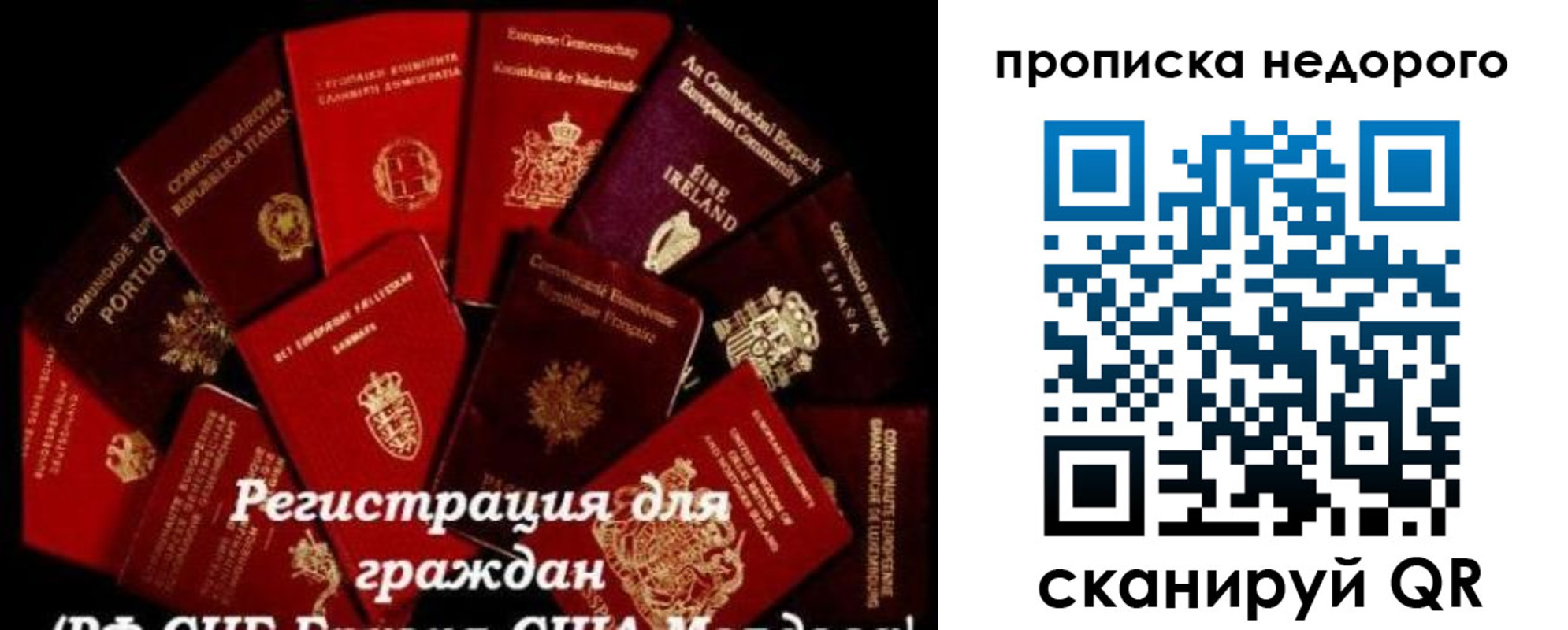 временная регистрация недорого в Карасуке